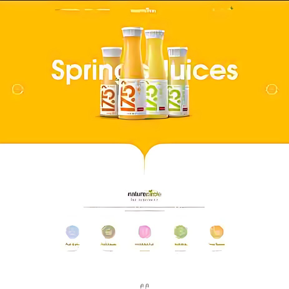 Ecommerce Solutions example